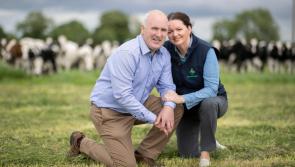 Embrace FARM to remember Laois people killed or injured in farm accidents