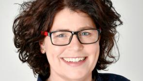 Laois Fine Gael councillor sides with Independent and Sinn Féin councillors to defy election deal 