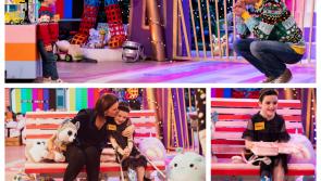 Laois Children getting huge boost from RTÉ Toy Show Appeal