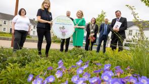 Buzzing Laois pollinator partnership sealed in Portlaoise 