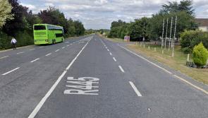 Cash not flowing to Laois to tackle 'severe dips' old Dublin road 