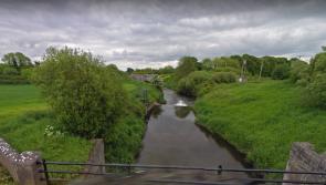 Laois Council must wait until winter to find out if a local river can be cleaned