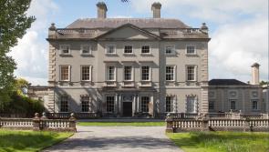 Billionaire's manison in Laois set to host family fun day 