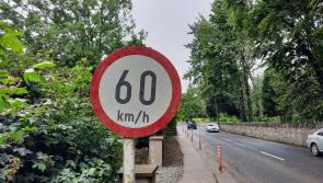 Department confirms timeline on speed limit reduction on thousands of kilometres of Laois roads  