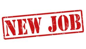 JOB OPPORTUNITY: Pig stockperson required in the Midlands area