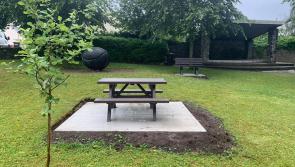 Laois village gets outdoors boost from Portlaoise Municipal District councillor