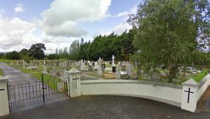 Overgrown land could serve school and cemetery parking in Laois town