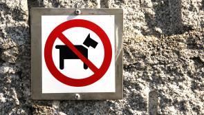 Pet ban - Dog fouling can never be allowed in Laois cemeteries
