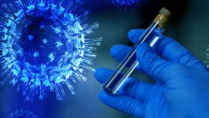 What are the Covid-19 restrictions for Christmas?