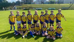 WATCH - A-B-B-E-Y-L-E-I-X GAA girls from the Laois GAA club starlets in full voice