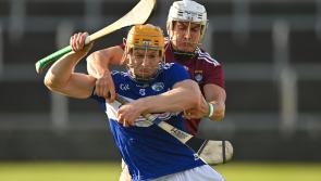 Laois power home in final quarter to save top tier league status as ace forward hits 17 points