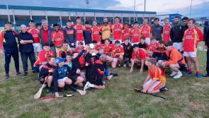 Laois senior hurler powers The Harps to Division 4 league football crown