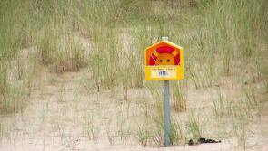 Nine drownings in seven days - Laois people urged to be vigilant