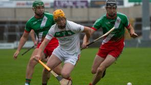 Rathdowney-Errill on the double as Senior hurling league crown added to weekend league haul