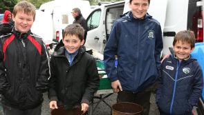 PHOTOS - Vintage day of rusty rummaging for vintage fans in Laois
