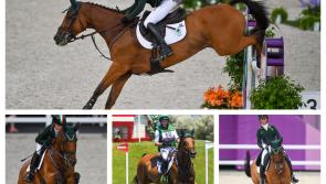 Irish Olympic team had a horse, born, bred and owned in Laois
