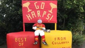 WATCH: Videos, songs and colour everywhere as County final fever grips Laois clubs