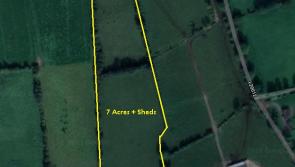 Land in Laois sells at hybrid auction