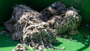 Laois asked to think before flushing after shocking statistics on rubbish thrown in loos