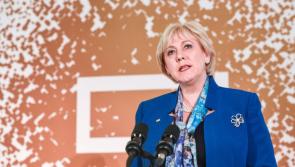 Property owners in five Laois towns to receive government funding