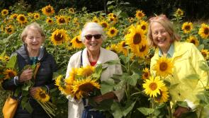 What's on this Sunday in Laois for Heritage Week