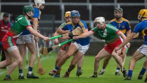 All you need to know about the eight teams challenging for the Laois senior hurling championship