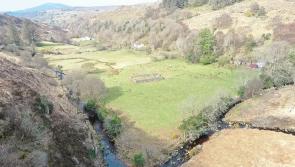 Feeling lucky? GAA club raffling a field for just £20 in novel fundraiser