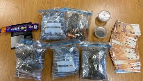 Laois Offaly Gardaí seize drugs and cash to dent dealing in cross border area