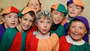 Oh yes its's back on the Laois calendar - the Rathdowney Panto returns