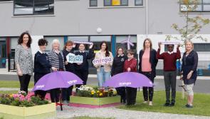 Putting Portlaoise schools at the centre of climate action