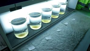 2020 boil water notice in Laois finally lifted 