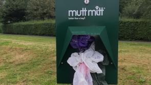 Evidence of ignorant dirty Portlaoise dog owners  using dispensers as bins