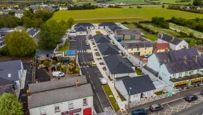 Vote for Stradbally houses for elderly in national awards
