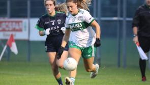 Portlaoise Leinster dream comes to an end despite heroic display
