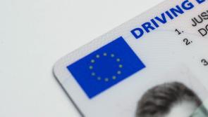 Government move on asylum seeker driving licences