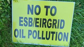 Laois electricity substation protest accused of 'hijacking' by councillor who insists he is not populist