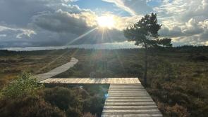 Abbeyleix bog puts Laois at the centre of European conservation 