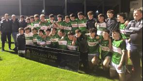 Kelly and Culliton strike for late goals to crown Na Fianna Minor ‘B’ hurling champs
