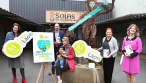 'We're Breastfeeding Friendly Laois'