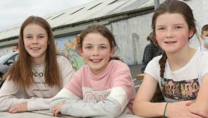 In PICTURES Laois Culture Night delight on the bandwagon in Portlaoise