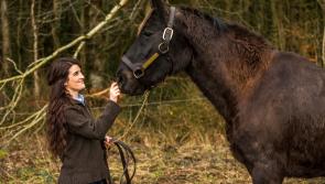  Laois women in business invited to take part in National Womens Enterprise Day