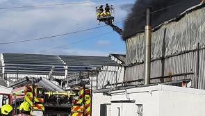 'Basically everything is lost' but Glenisk director says company will start again