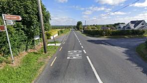 Van crashes into garden of house on busy Laois road where speed van pledge hasn't materialised