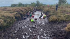 IN PICTURES Mud and games for the Mountrath school boggers