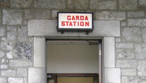 Laois Gardaí arrest two men arising from 'terrifying' ordeal