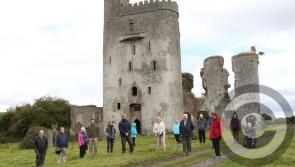 In PICTURES : Living Laois history at Ballyadams Castle