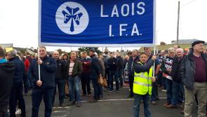 Food scarcity to highlight Laois farming value