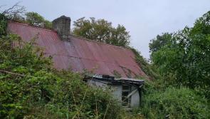PROPERTY WATCH: Doer upper cottage challenge  in Laois sits on prime site