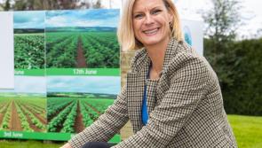 Budget 2022 is 'fair and progressive' - claims Laois Offaly Green Minister