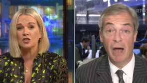 WATCH Laois RTÉ presenter tells Nigel Farage he hasn't 'got a clue'  about Irish history